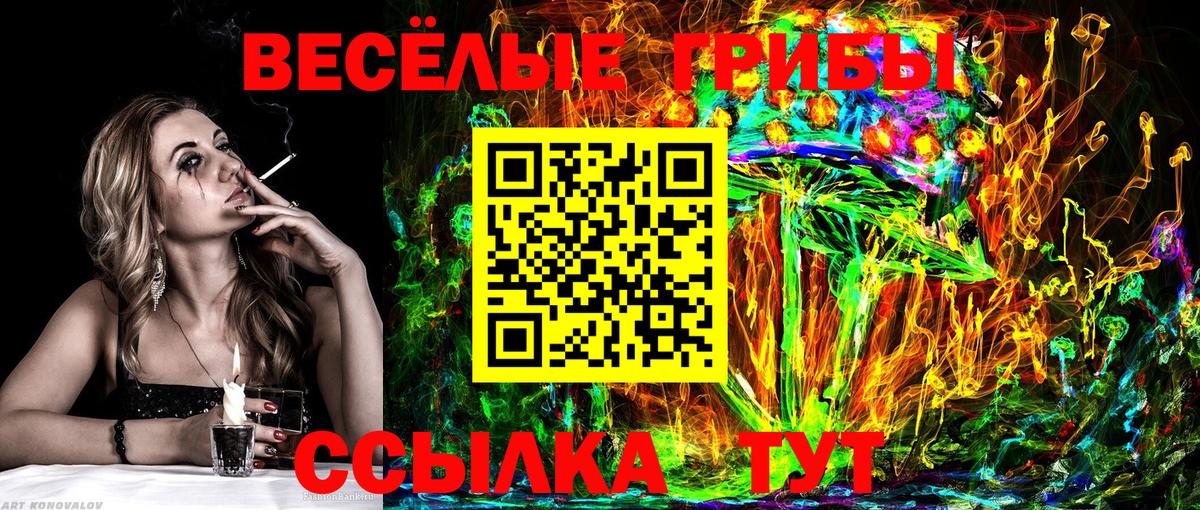 Галлюциногенные грибы прущие грибы Дубна