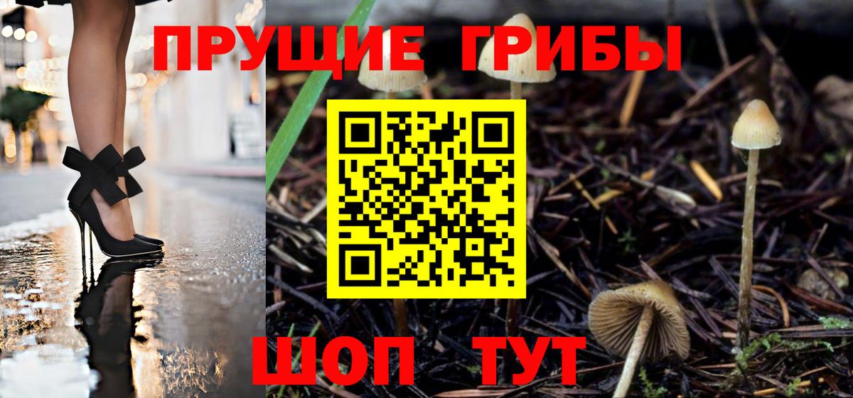 Дубна  Псилоцибиновые грибы GOLDEN TEACHER  Вход с VPN  Псилоцибиновые грибы Psilocybe 